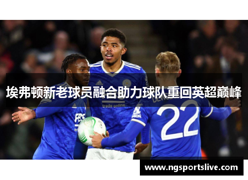 埃弗顿新老球员融合助力球队重回英超巅峰